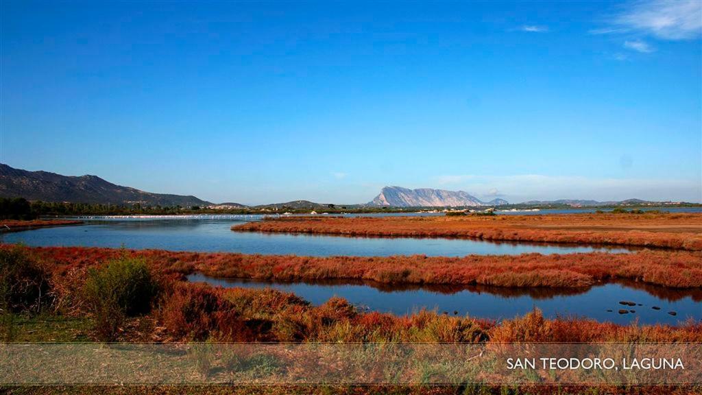 Li Teggi Turismo Rurale San Teodoro  Exteriör bild