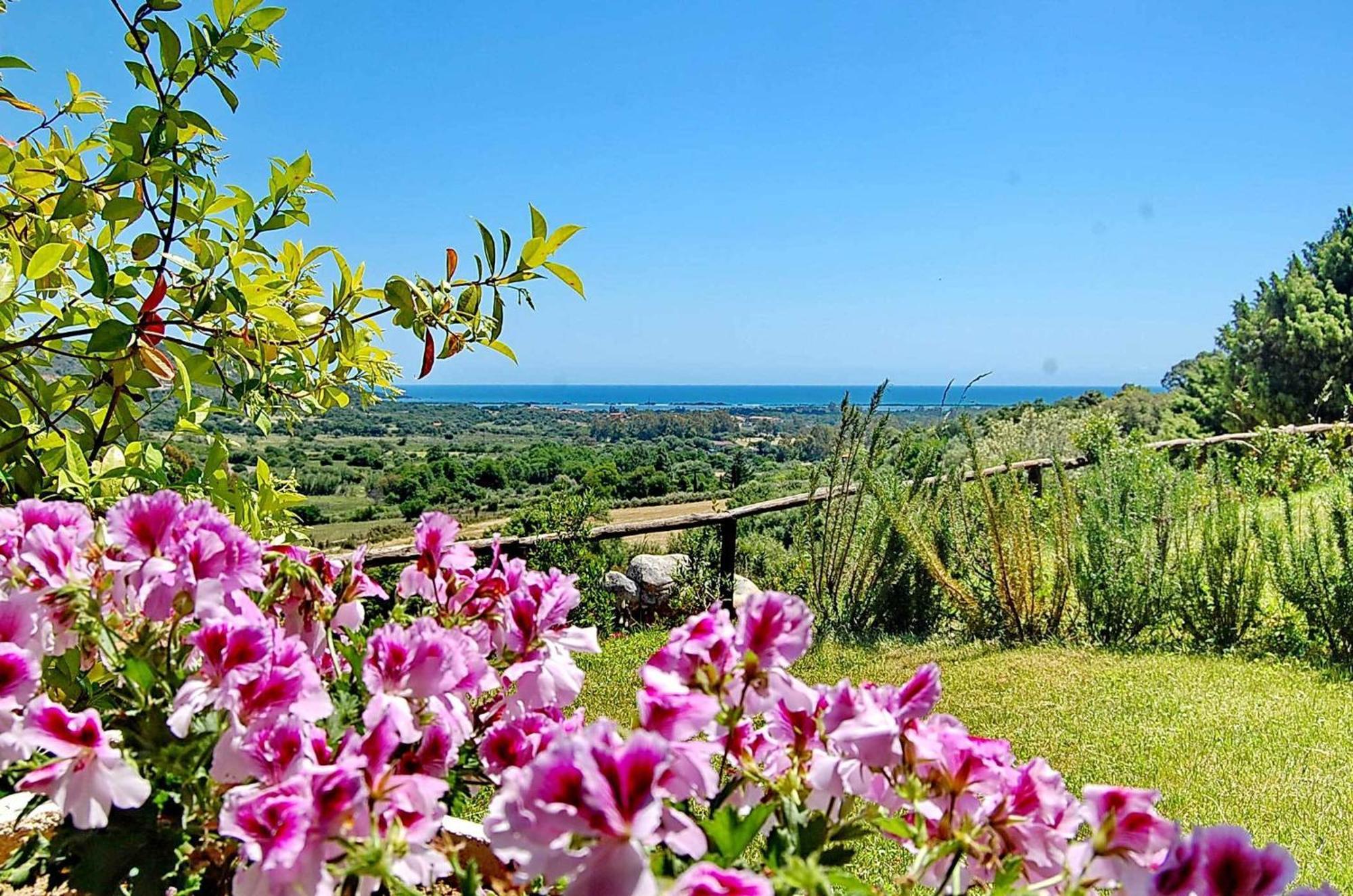 Li Teggi Turismo Rurale San Teodoro  Exteriör bild